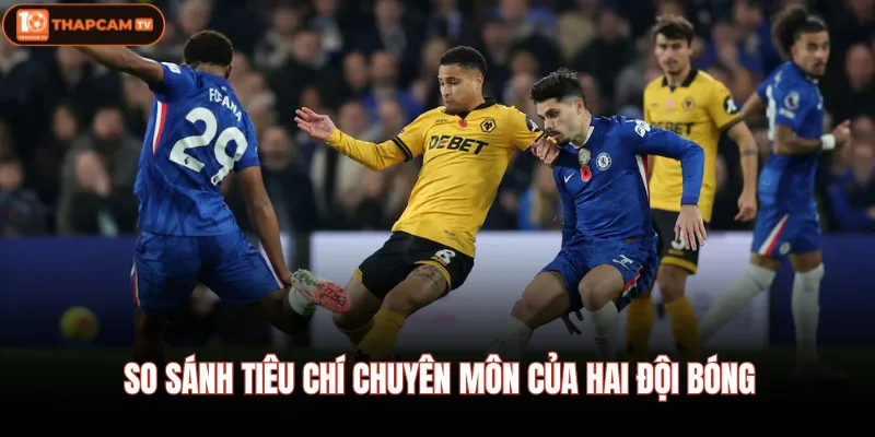 Mỹ Vs Bosnia - Nhận Định Chi Tiết Trận Đấu Top 1 Thị Trường 3 So sánh tiêu chí chuyên môn của hai đội bóng