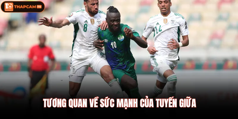 Thuỵ Sĩ Vs Algeria - Ai Sẽ Giành Cúp Vô Địch Vào 03/07 10:00 4 Tương quan về sức mạnh của tuyến giữa
